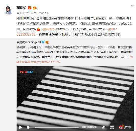 高晓松发文悼念小红莓乐队主唱桃乐丝：向她致敬