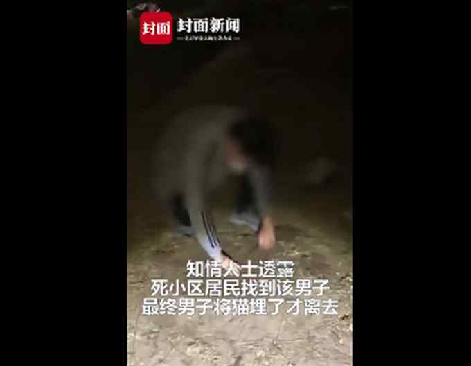 男子虐猫被拍乞求不要曝光 自称“心情不好” 网友纷纷反怼！