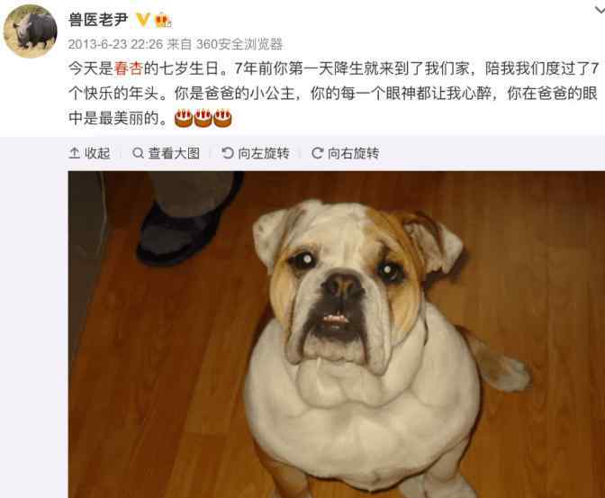 拯救爱 全国每年300万只宠物死去，北京“毒舌大夫”骂哭宠物主人，背后真相令人泪目……