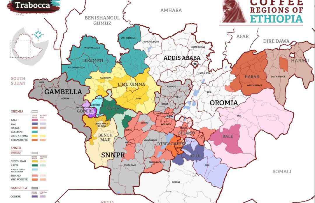 埃塞俄比亚地图 重磅消息 | 史上第一份《埃塞俄比亚咖啡产区图》正式对外公布！