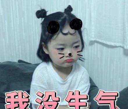 权律二最新萌照 朋友圈最火的表情包：权律二