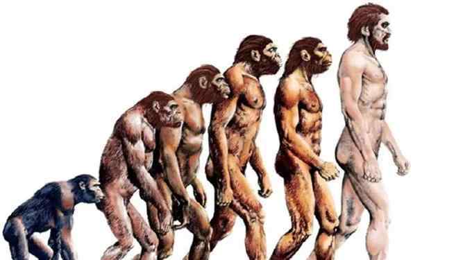 人类的进化过程图 人类进化是个骗局？这张“人类进化图”是错的，误导了无数人！