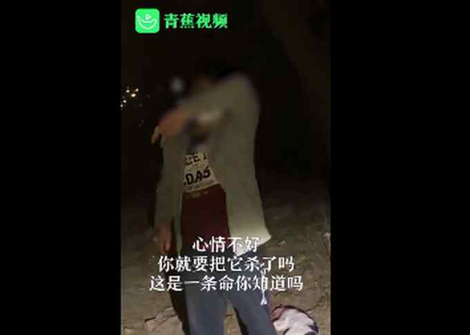 男子虐猫被拍乞求不要曝光 自称“心情不好” 网友纷纷反怼！