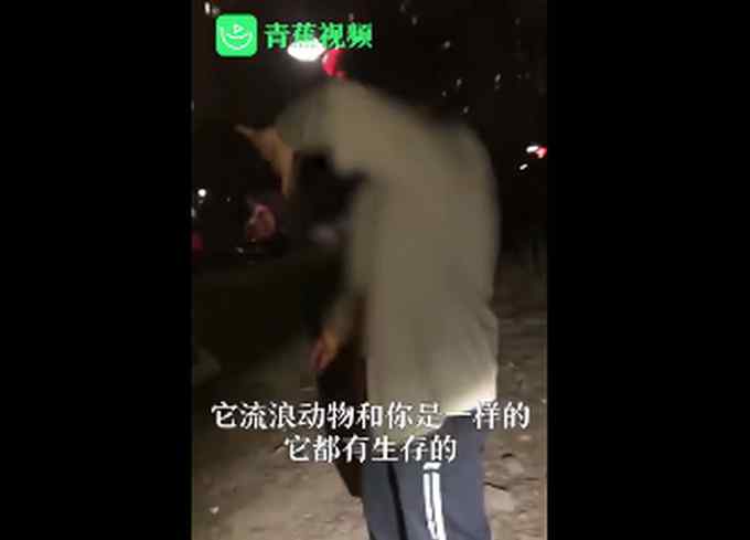 男子虐猫被拍乞求不要曝光 自称“心情不好” 网友纷纷反怼！