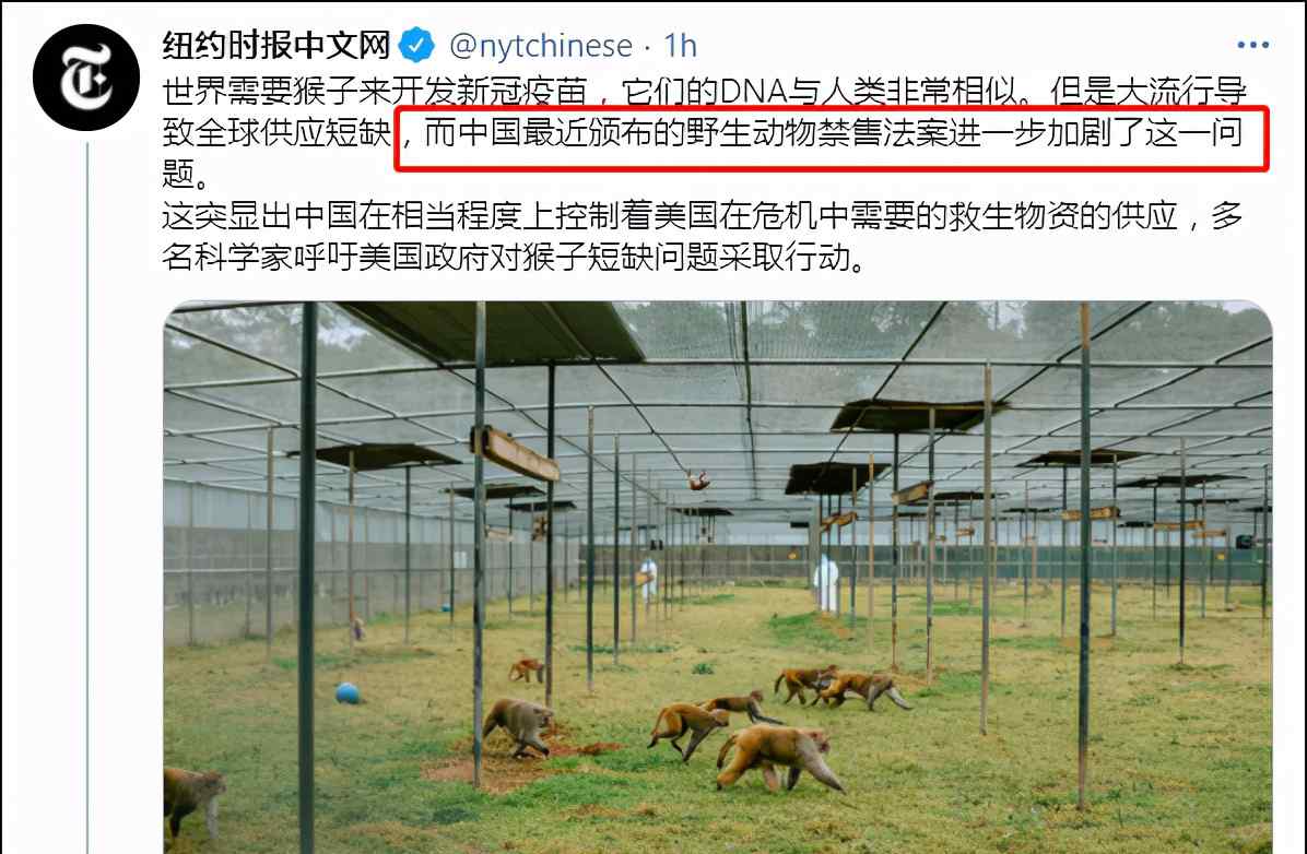 荒谬！美媒竟怪中国"闭关锁猴"阻碍研制疫苗“拯救百万人的生命”？