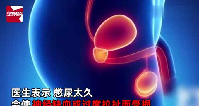 男子刚上完厕所晕倒在地 医生：日常憋尿导致大脑“短路”
