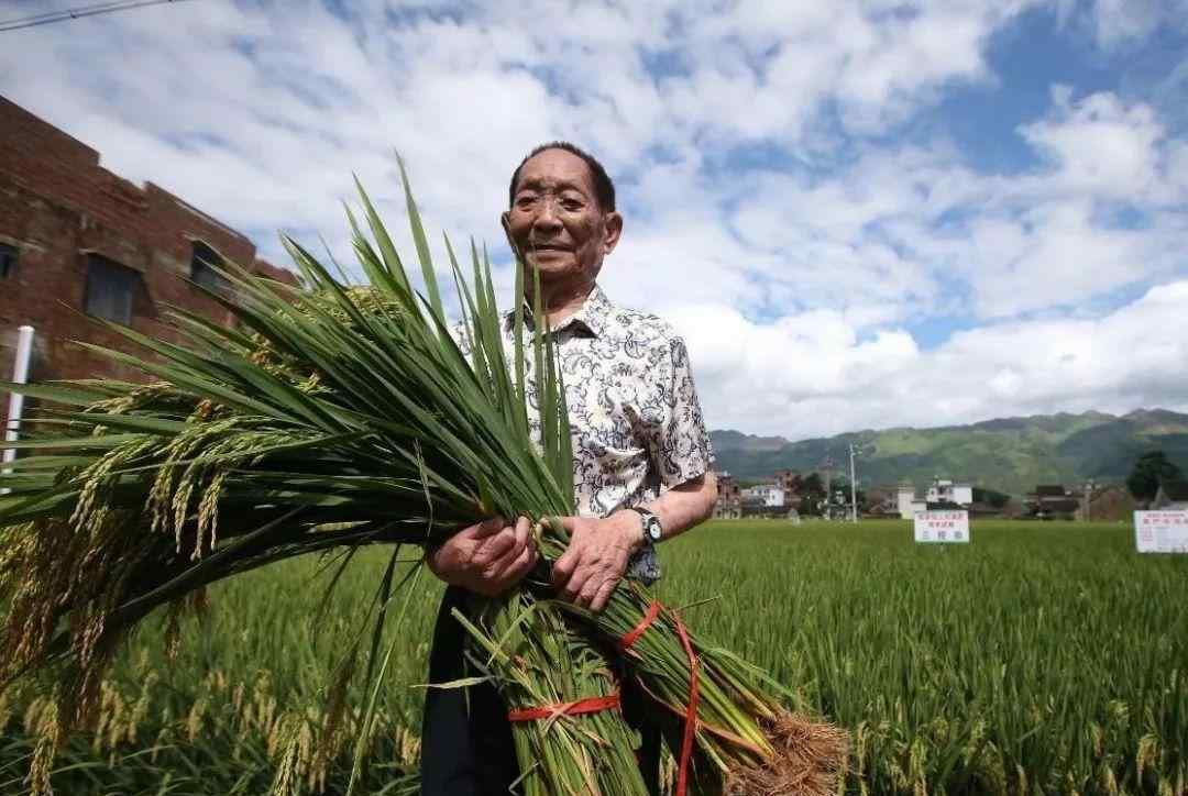 袁隆平买车 袁隆平因摸了一下奔驰车，被人说买豪车潇洒，键盘侠你们不累吗