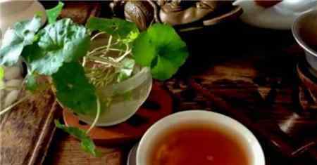 茶叶水可以浇绿萝吗 喝剩的茶水直接倒花盆里？少了这一步，难怪养花长不好