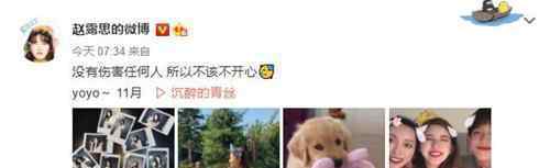 赵露思发文:没有伤害任何人上热搜，具体怎么情况