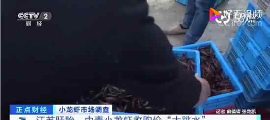 小龙虾收购价几近腰斩 目前价格具体多少