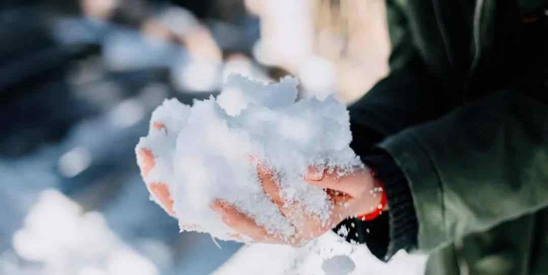 哈尔滨大雪 东北第一场大雪，刚拍的，惊呆朋友圈！