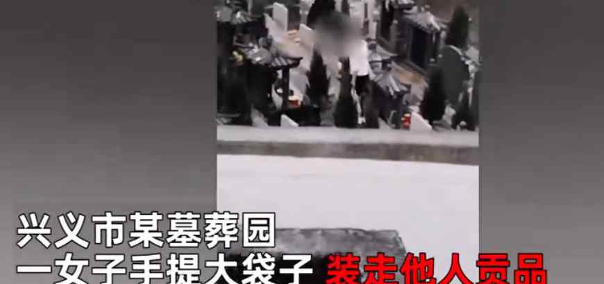 女子墓园内无视祭拜者 手提大袋子装走他人贡品 画面令人不适