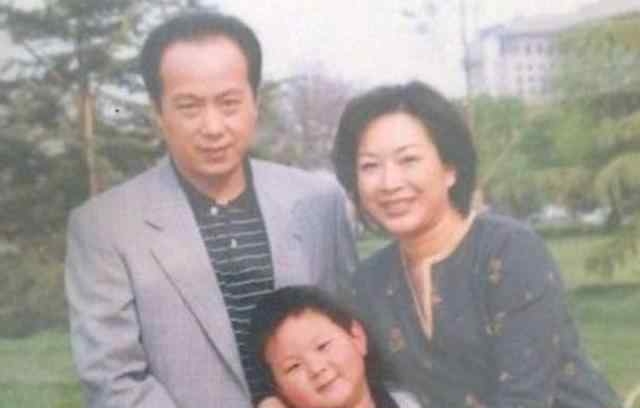 罗京儿子 罗京去世11年，妻子改嫁富商受网友抨击，25岁儿子长相一脸福态！