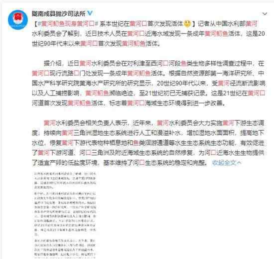 黄河鱽鱼现身黄河口 震惊绝迹多年再次现身