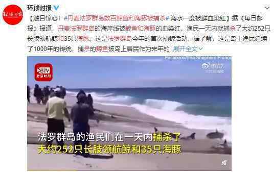 丹麦法罗群岛数百鲸鱼和海豚被捕杀 血染海湾 触目惊心