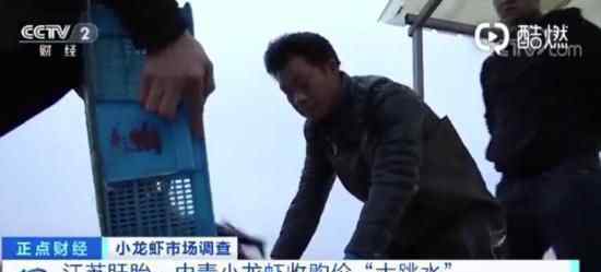小龙虾收购价几近腰斩 这是怎么回事小龙虾便宜了多少