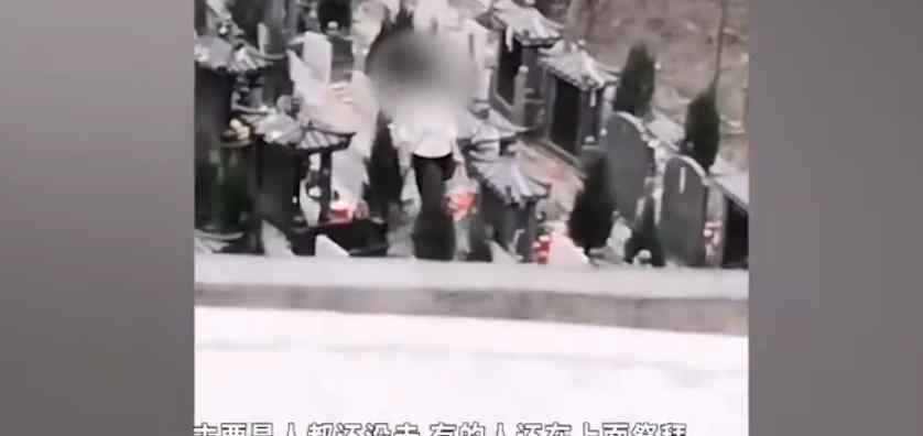 女子墓园内无视祭拜者 手提大袋子装走他人贡品 画面令人不适