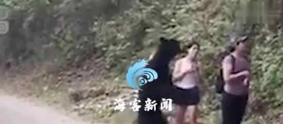 女子路遇野生黑熊被抱住淡定自拍 网友：这是疯了吧