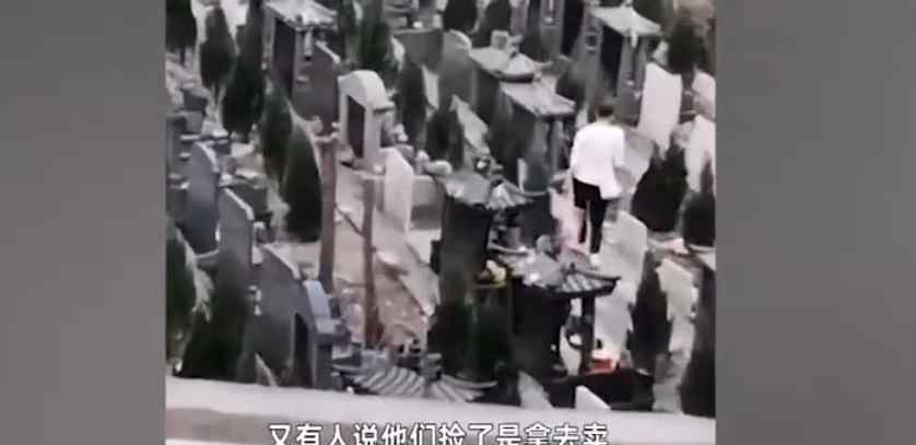 女子墓园内无视祭拜者 手提大袋子装走他人贡品 画面令人不适