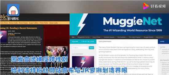 哈利波特粉丝网站与JK罗琳划清界限 原因竟与跨性别者有关