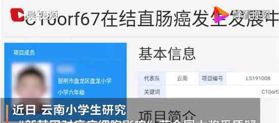 小学生研究基因获全国大奖引质疑 19年曾有类似研究发表
