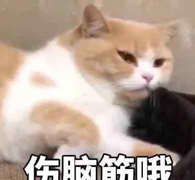个税年度汇算来了! 对此大家怎么看？