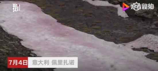 阿尔卑斯山出现粉色冰川 什么样子怎么形成的