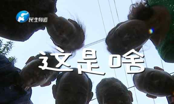 村民干农活挖出活物，看到“脚”后大家不淡定了