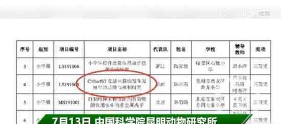 小学生研究基因获全国大奖引质疑 事实真相是什么?