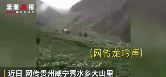 贵州回应山里有“龙吟” 怎么回应的“龙吟”声是什么