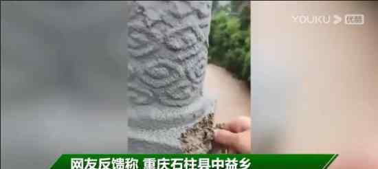 交通局回应桥梁护栏一捏就散 已成立调查组核查