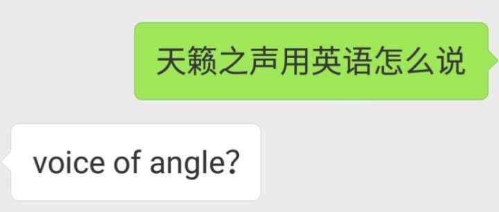 我不知道用英语怎么说 我打赌：你不知道「天籁之声」用英语怎么说！文章配图