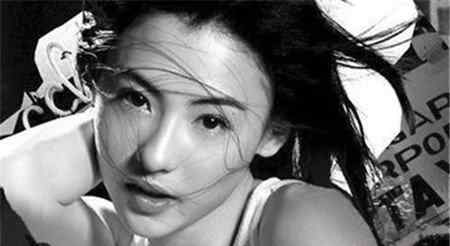 陈冠希艳门事件女主角 艳门照事件 张柏芝裸照大尺寸全露