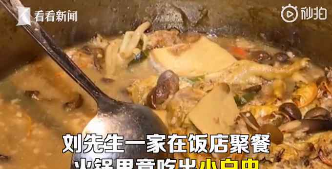 全家饭店聚餐吃出半截白蛆虫 店家称是正常现象 网友直呼好家伙