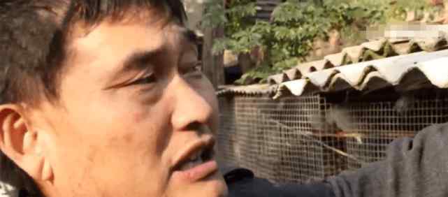 大衣哥朱之文离婚真相 张晓磊曝朱之文出轨偷税漏税，大衣哥正式回应：都是胡编乱造