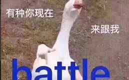 上海宝山房价 上海各区11月最新房价来了！你家小区现在值多少？