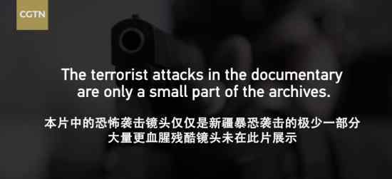 新疆反恐纪录片《巍巍天山：中国新疆反恐记忆》 讲了什么