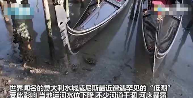 水城没水了？威尼斯遇罕见低潮游船搁浅 河床干涸宛如街道！