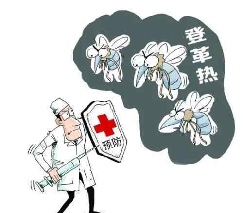 登革热症状图片 漫画图解登革热！文章配图