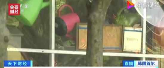 韩国一幼儿园106人食物中毒是怎么回事情况严重吗
