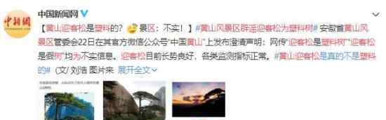 黄山风景区辟谣迎客松为塑料树引起网友热议，到底是怎么回事