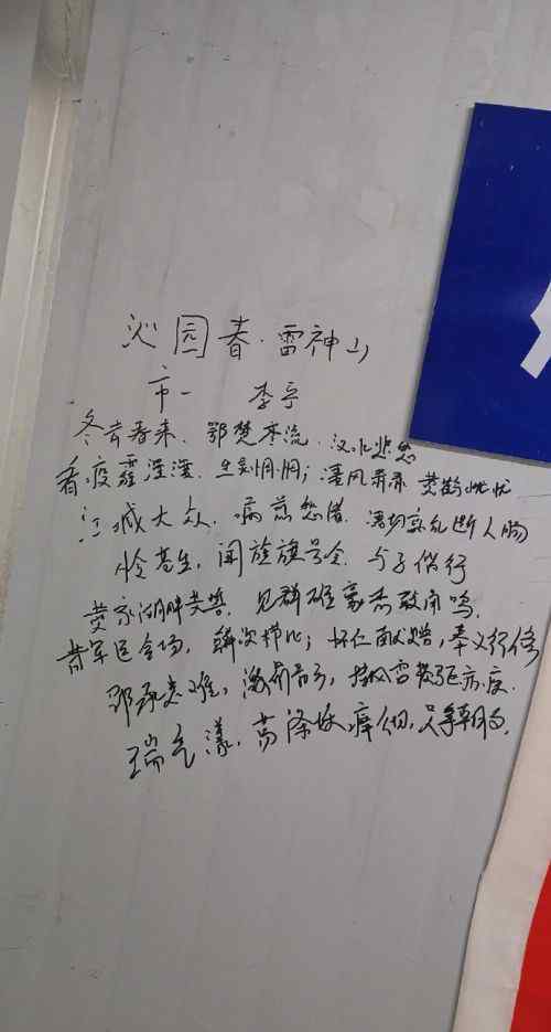 雷神山医护写的诗 分别写了什么