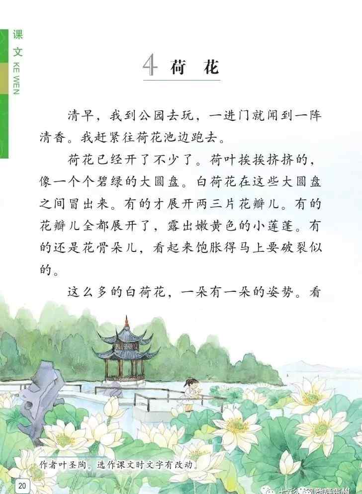 荷花这篇课文 这篇小学三年级的课文《荷花》，今天窦爱莉带你的孩子一起读