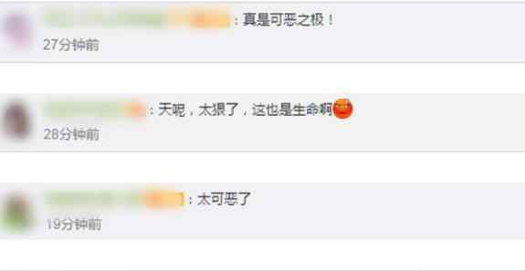 太原一男子当街虐猫 这种行为太残忍了