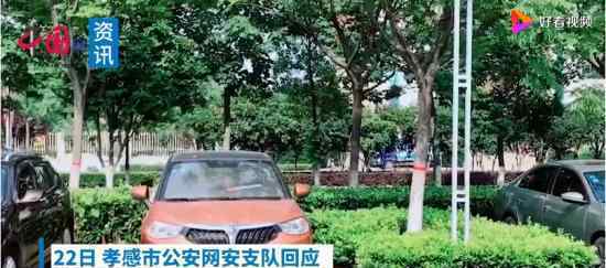 鄂牌车车主因新冠去世未挪车系谣言 具体什么情况
