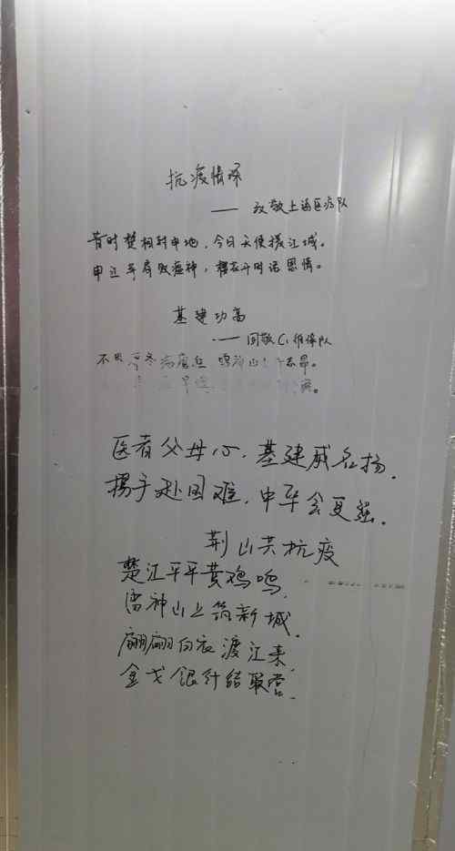 雷神山医护写的诗 分别写了什么