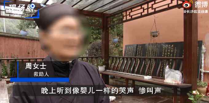 湖南女子深山里解救被困黄麂 抱回家后调看监控吓出一身冷汗！