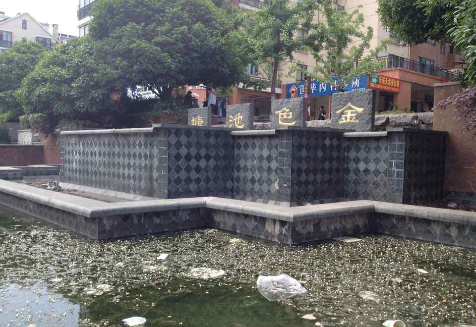 合肥金色池塘 合肥金色池塘百名业主聚集 集体要求物业撤出小区