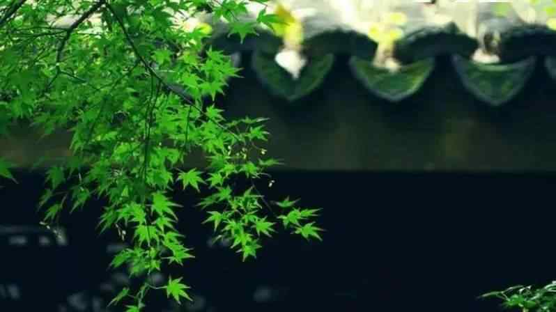 人活一辈子到底为了什么 夜深人静时，躺下来想想！人活一辈子到底为了什么？