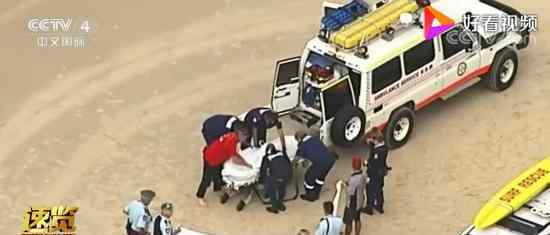 大白鲨袭击冲浪者遭警方通缉 具体怎么回事